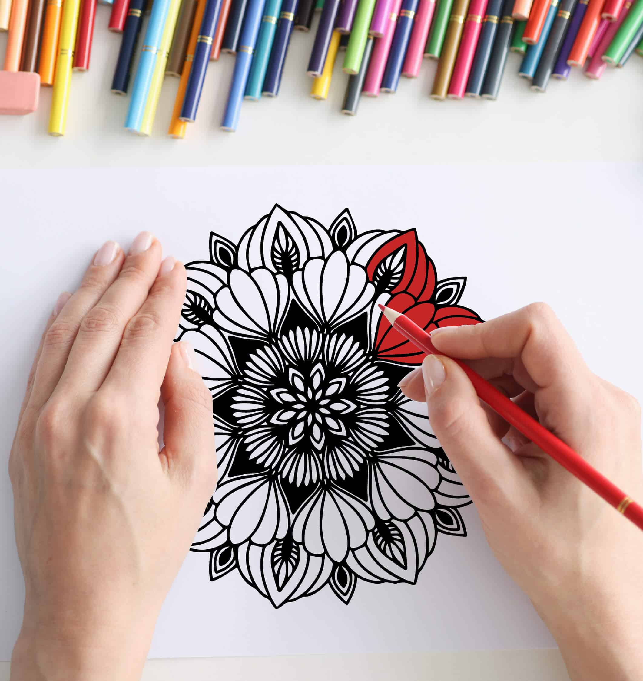 Inside the book - Floral Mandalas